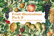 Fruit Illustrations pack 3, a Food Illustration by Padrinan (Thumbnail 1 of 5)