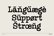 Friend TM – Chummy Slab, a Slab Serif Font by Type Mania (Thumbnail 10 of 12)