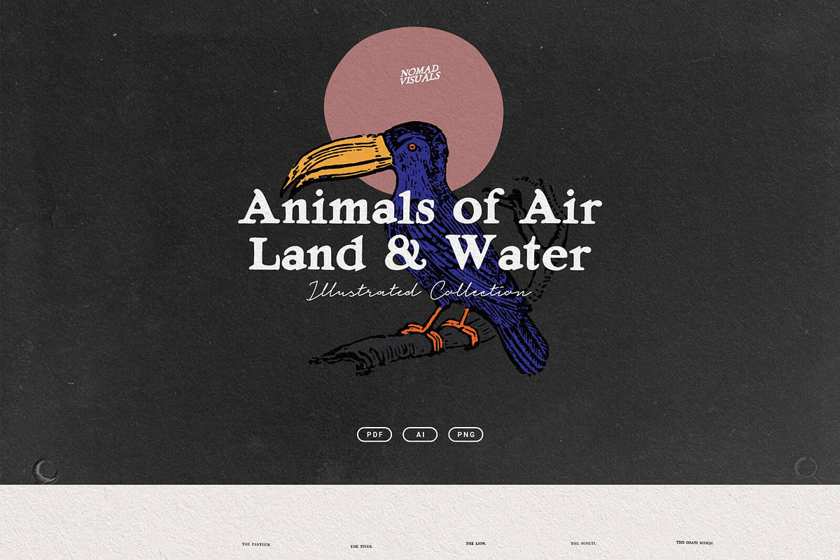 Vintage Bundle - 6600+ Illustrations, an Animal Illustration by Nomad Visuals (Photo 24 of 45)