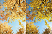 10 Sunshine Lightroom Presets, a Preset Add-On by RamsaGraphi (Thumbnail 8 of 10)