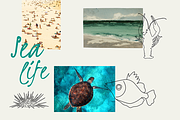 Sea life icon set, a Graphic by Desskoo (Thumbnail 2 of 4)