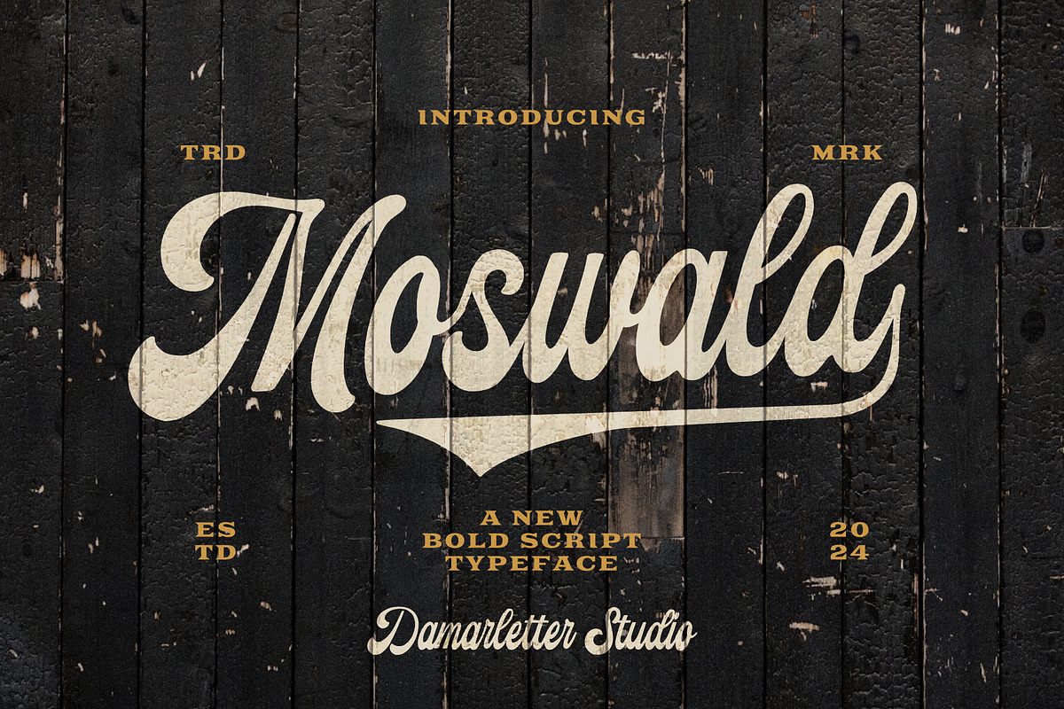 Moswald Script Typeface, a Script Font by Damarletter (Photo 1 of 9)