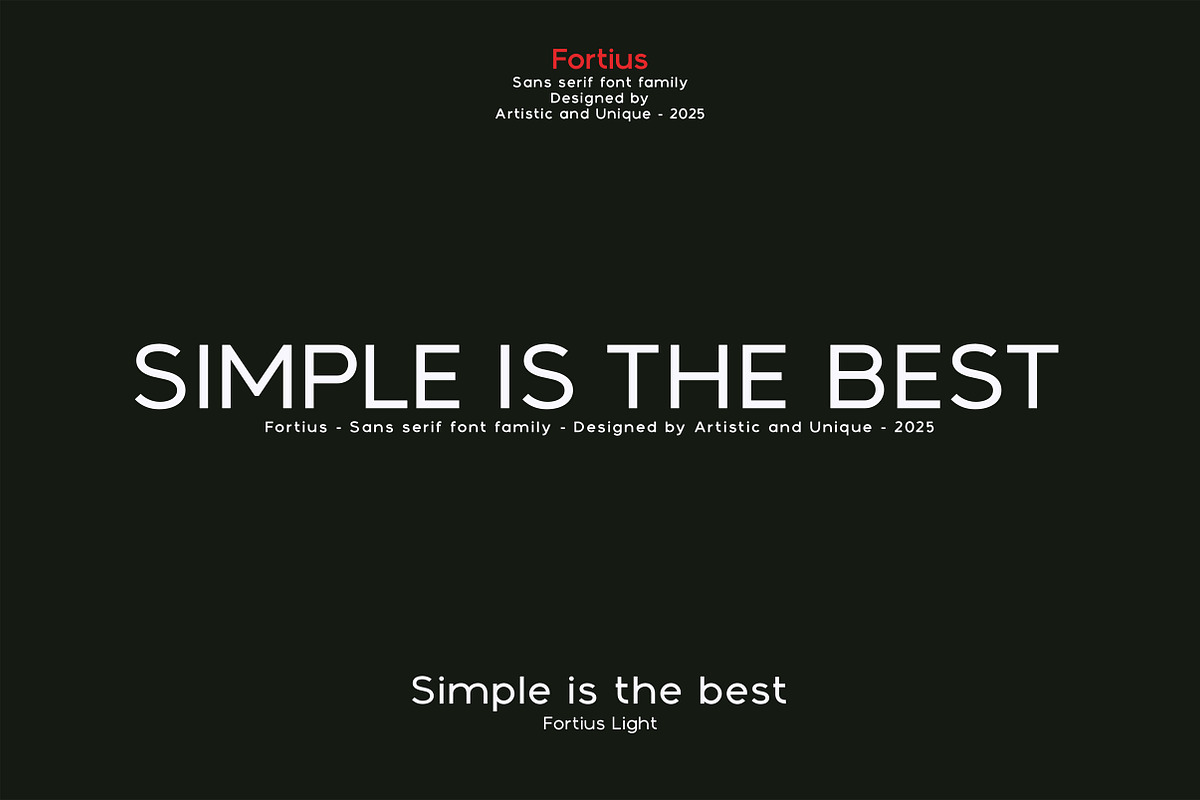 Fortius - Sans serif font family, a Sans Serif Font by Artistic & Unique (Photo 4 of 15)