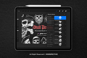 15 Dark Skull Pirate Procreate Brush