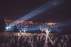 Excited Crowd at Lively Concert