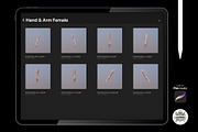 Procreate 3d Models (4K) Arm Female, a Brush Add-On by Luuuka studio (Thumbnail 2 of 5)