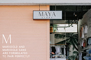 Marigold - Font duo and logo set, a Serif Font by Tropical Type (Thumbnail 5 of 11)
