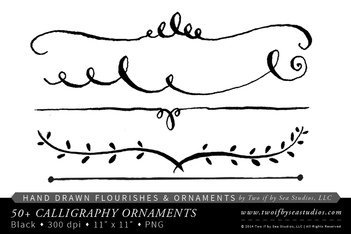 Hand Drawn Calligraphy Ornaments, an Illustration by Two if by Sea Studios (Photo 3 of 5)