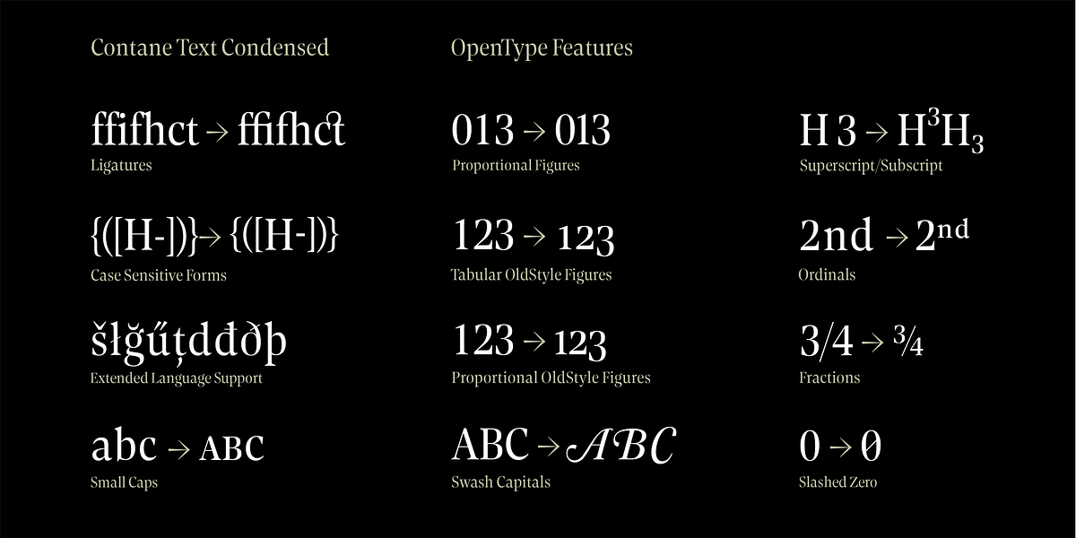 Contane Text Condensed, a Serif Font by Hoftype (Photo 10 of 11)