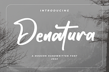 Denatura - Bold Script Font