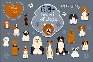 Collection of different dogs