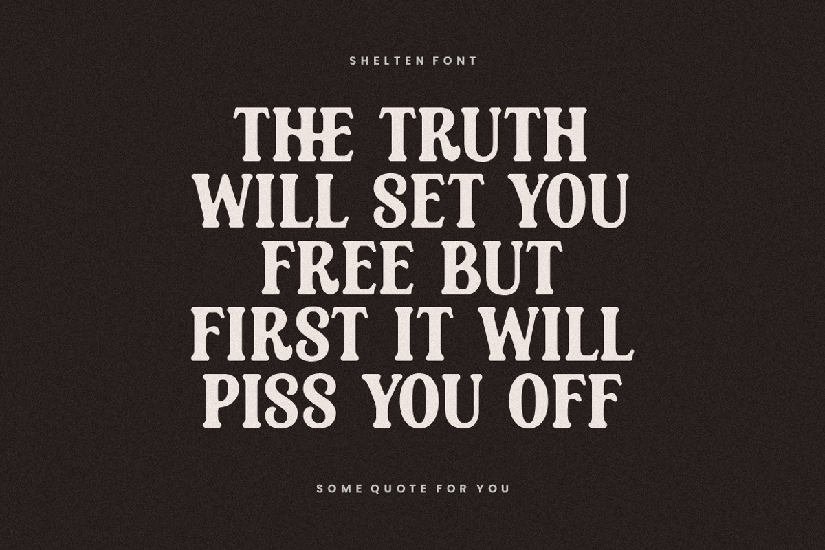 Shelten Font Vintage, a Serif Font by HansCo Studio (Photo 3 of 10)