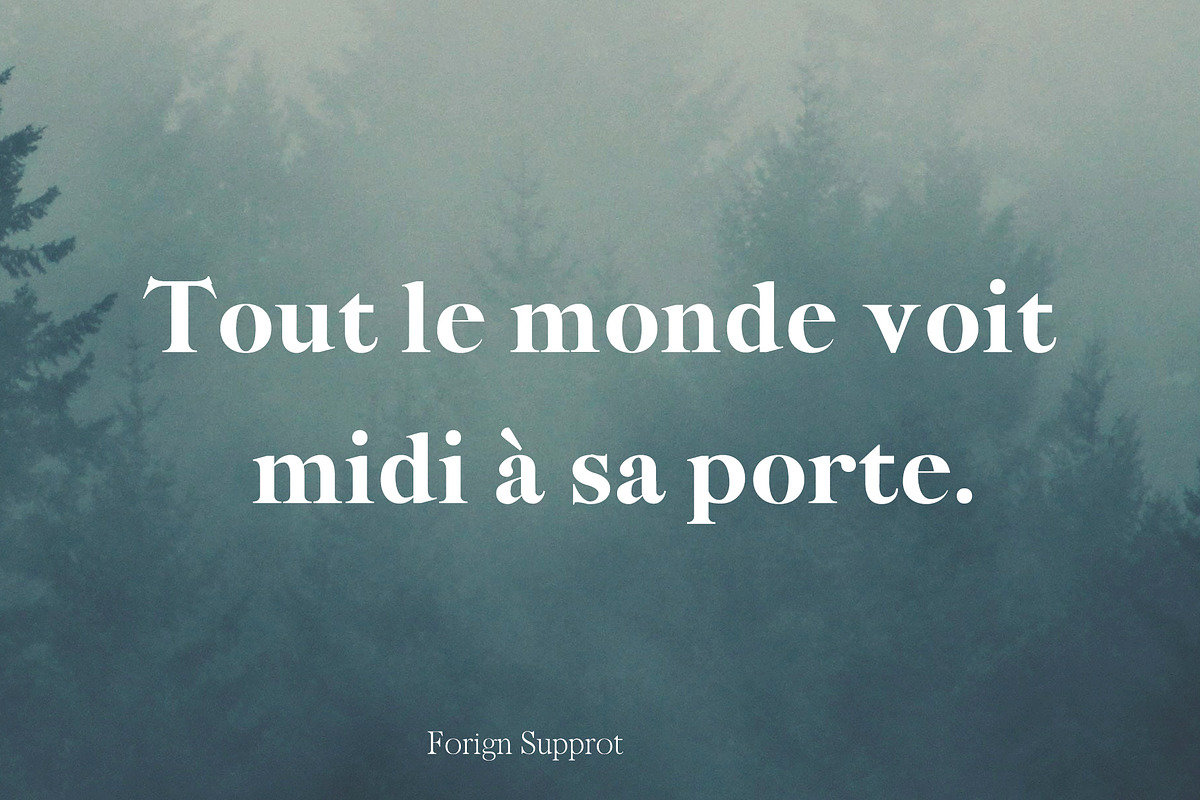 Jerin Serif Font Famiy, a Serif Font by Creativetacos (Photo 4 of 5)
