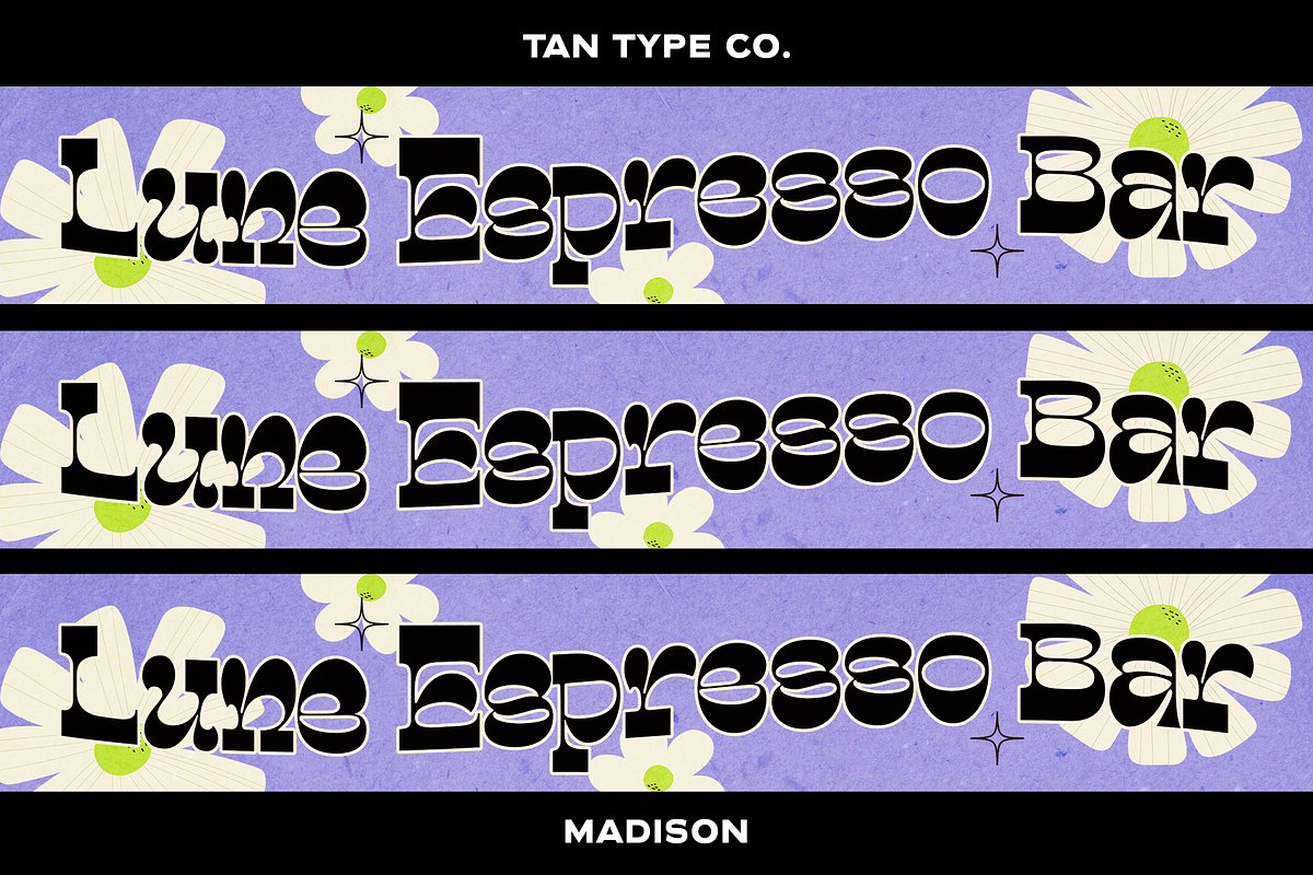 TAN - MADISON, a Font by TanType (Photo 10 of 10)