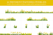 Daffodils Flowers photo overlays, a Layer Style Add-On by BrownLeopard (Thumbnail 6 of 7)
