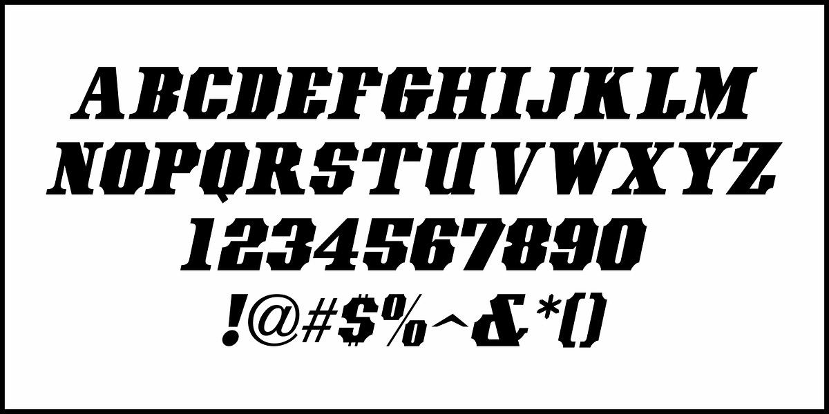 Modern West JNL, a Serif Font by Jeff Levine Fonts (Photo 5 of 5)