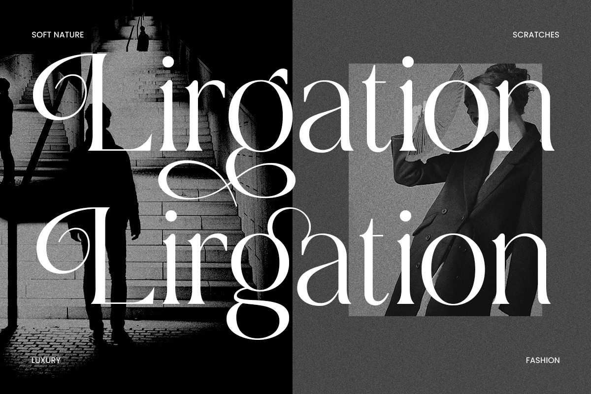 Dobagi – Elegant Modern Serif Font, a Serif Font by roomspace creative lab (Photo 4 of 12)