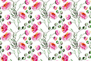 Tender peony patterns and elements, a Decorative Illustration by SuperNata (Thumbnail 3 of 5)
