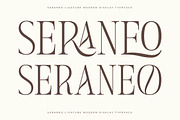 Seraneo Modern Display Typeface, a Serif Font by Letterena Studios (Thumbnail 4 of 15)
