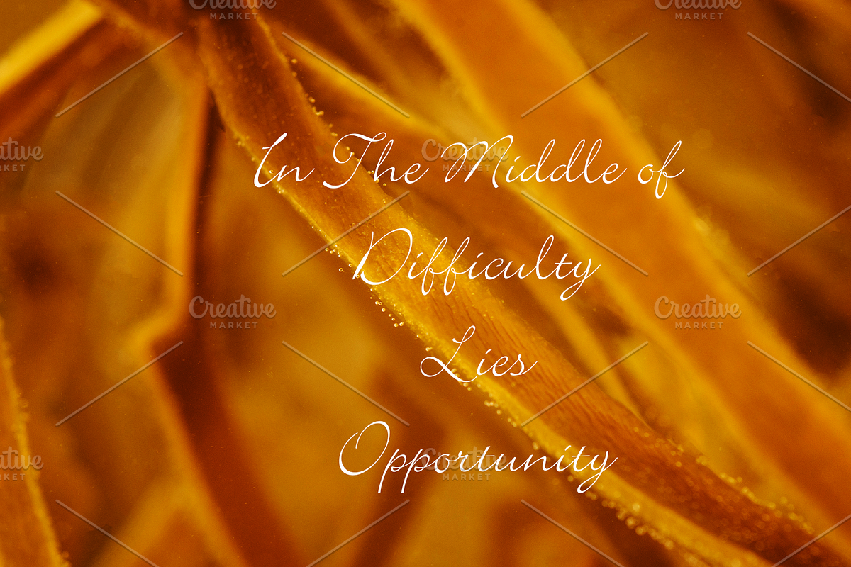 LunaCurve font-011-24, a Handwritten Font by canve (Photo 2 of 3)