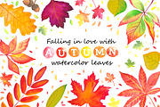 Autumn leaves. Watercolor., an Illustration by Olga Bonitas (Thumbnail 1 of 5)
