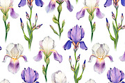 Watercolor iris flowers kit, a Texture Illustration by Sundra (Thumbnail 3 of 9)