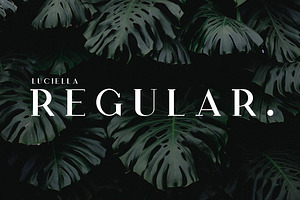 The Elegant Serif Font Bundle