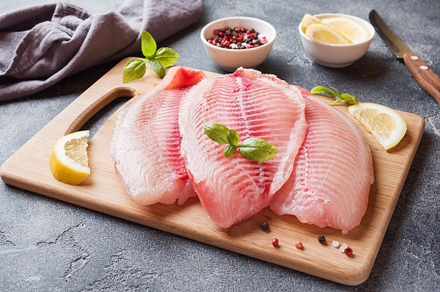 Raw fish fillet of tilapia containing tilapia, fillet, and red, a Food & Drink Photo by Elenglush