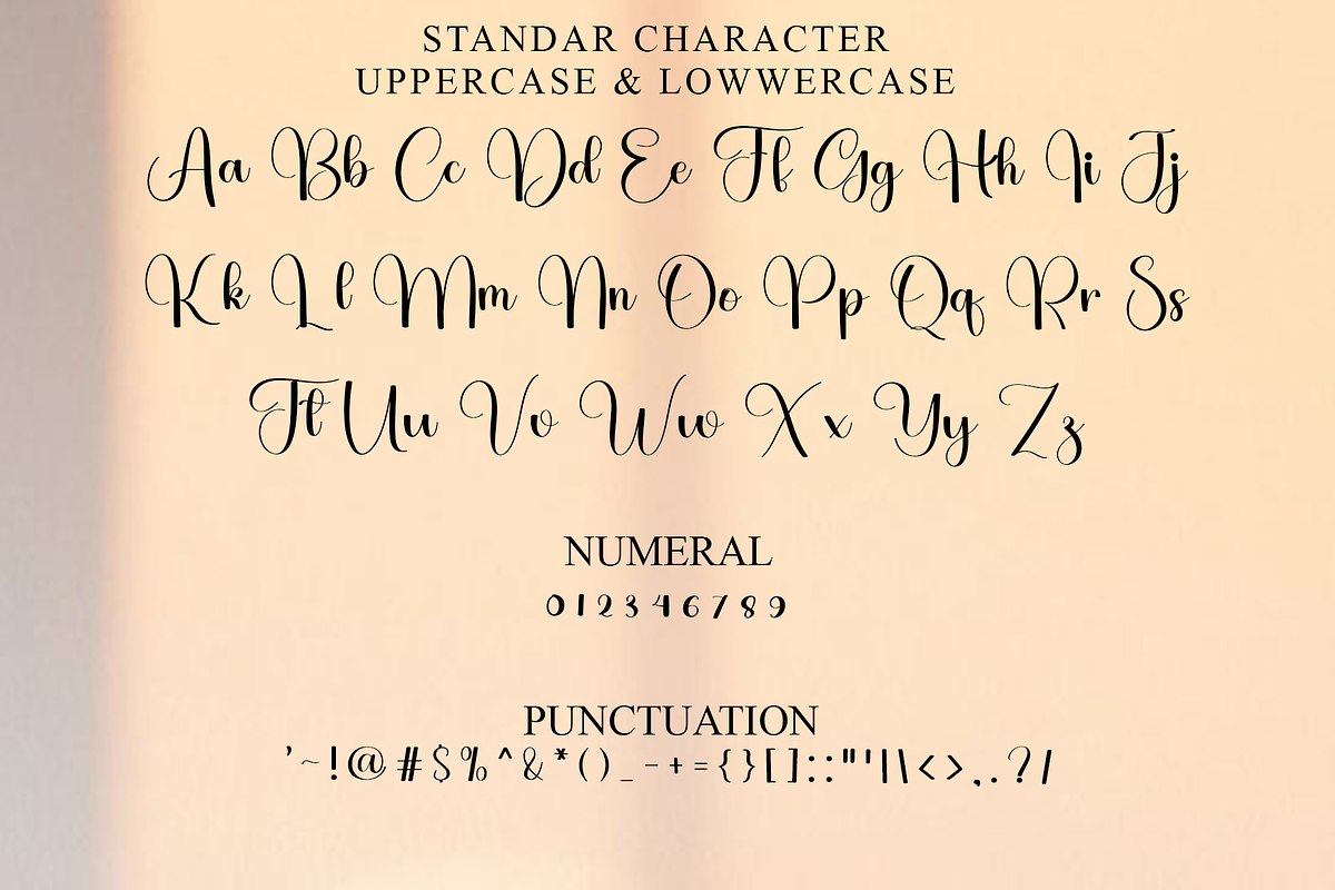 Chasing Hearts, a Handwritten Font by FreshTypeINK (Photo 4 of 8)