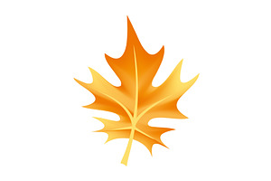 A Vibrant Autumn Maple Leaf, an Illustration by Things for designers