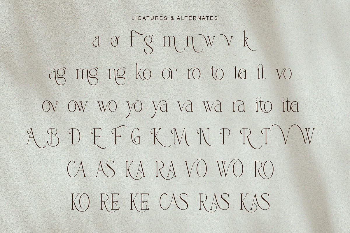 Bingkow, a Serif Font by Muflieart (Photo 7 of 8)