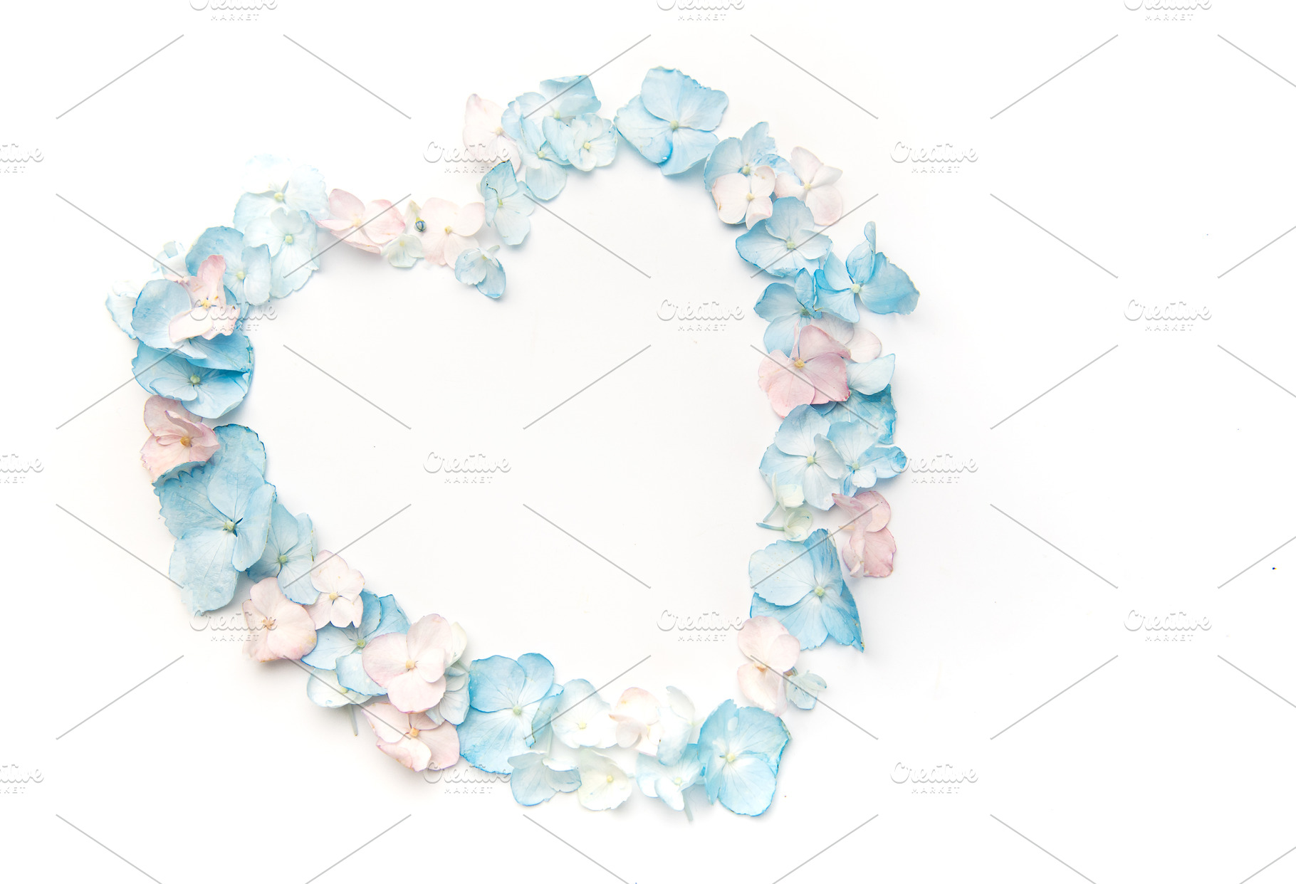 Hydrangea petals forming heart shape on white background, a Nature Photo by Olena Rudo