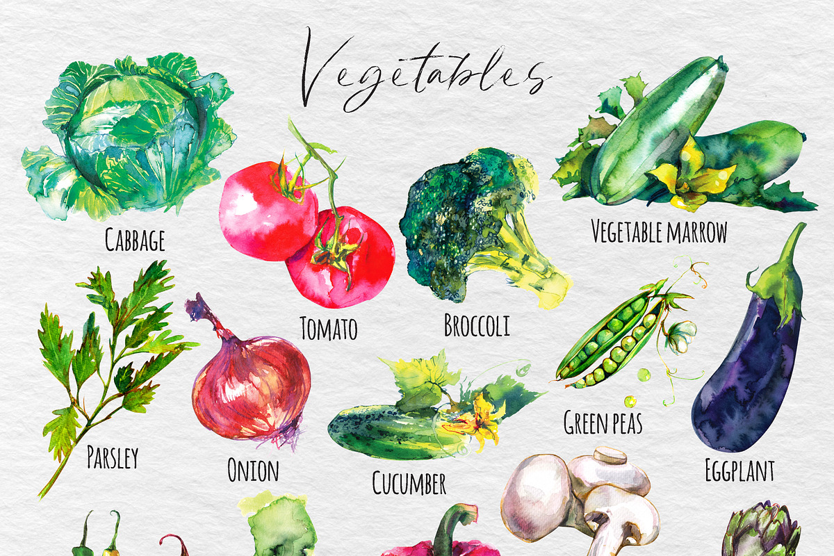 Vegetables clipart watercolor, a Food Illustration by Vero Arts (Photo 2 of 9)