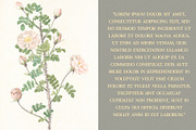 Piziza Brush Font, a Serif Font by Creativetacos (Thumbnail 6 of 12)
