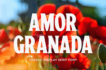 Amor Granada - Classic Display Serif