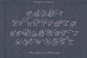 Handwritten Whimsy Romantic Script, a Handwritten Font by Laras Wonderland (Thumbnail 12 of 13)