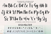 Wedding, a Handwritten Font by FreshTypeINK (Thumbnail 5 of 8)