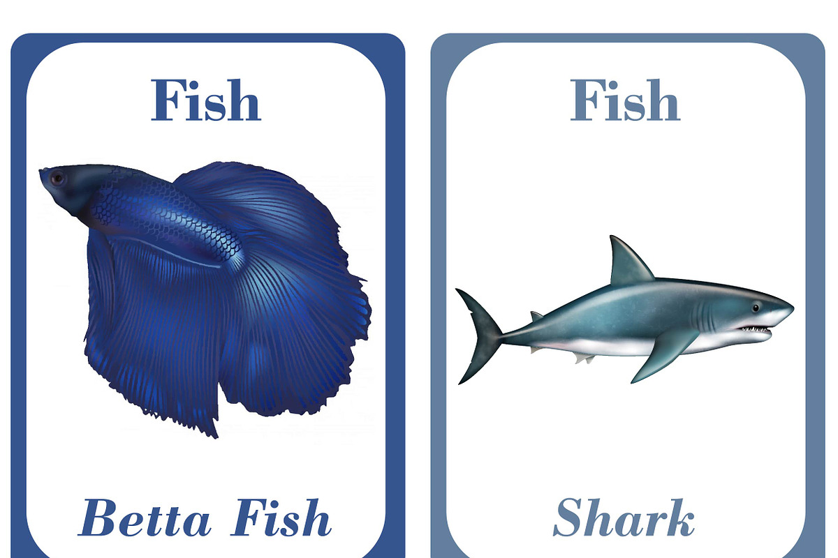 Printable Fish Learning Cards, a Card Template by DigitalsDesigns (Photo 2 of 5)