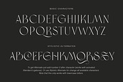 Brema Modern Sans, a Sans Serif Font by Andrey Sharonov (Thumbnail 12 of 19)