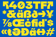 403 Glach Sans, a Sans Serif Font by 403 Type Foundry (Thumbnail 3 of 15)