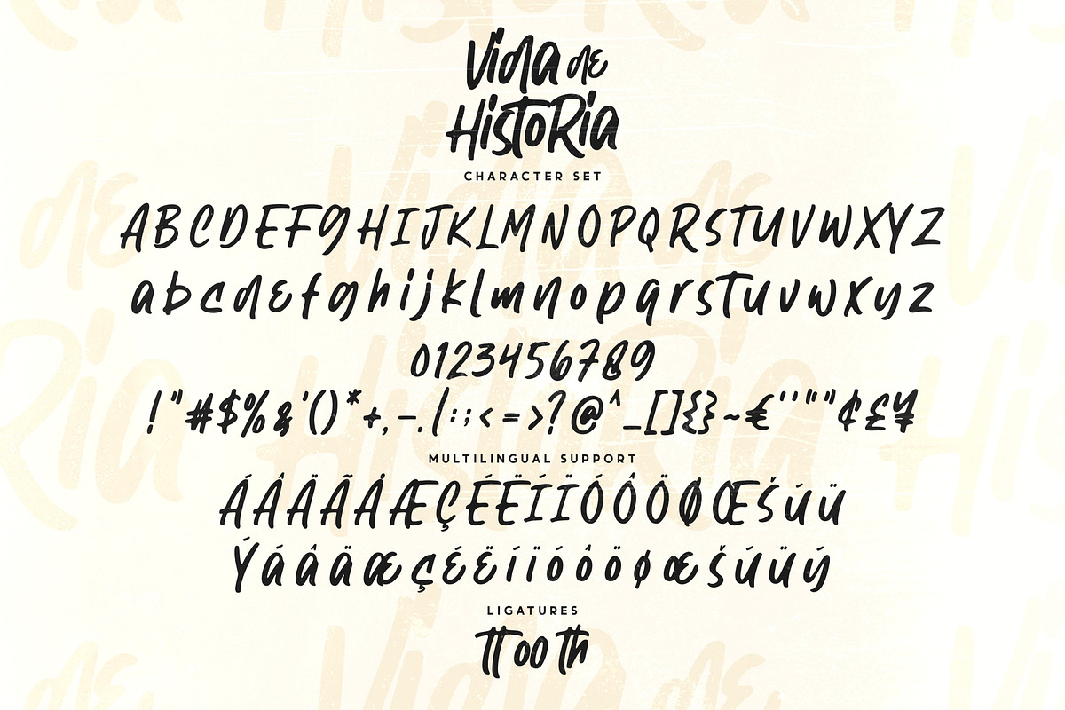 Vida de Historia - Stylish Typeface, a Font by Garisman Std (Photo 9 of 9)