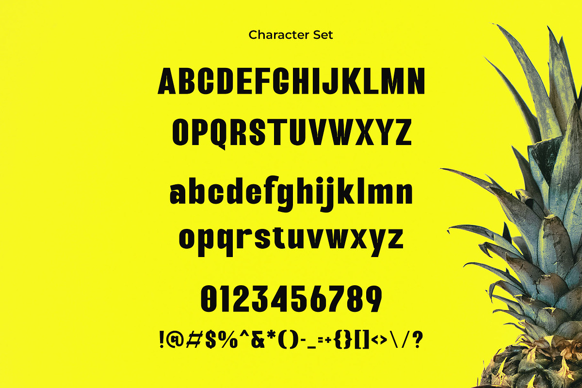 Riglane - Modern Bold Sans, a Sans Serif Font by TypeLogue (Photo 5 of 5)
