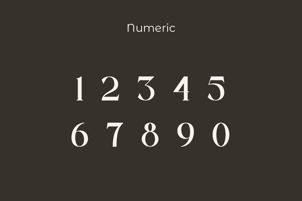 Bloofiqt, a Serif Font by Rishsketch (Photo 10 of 13)