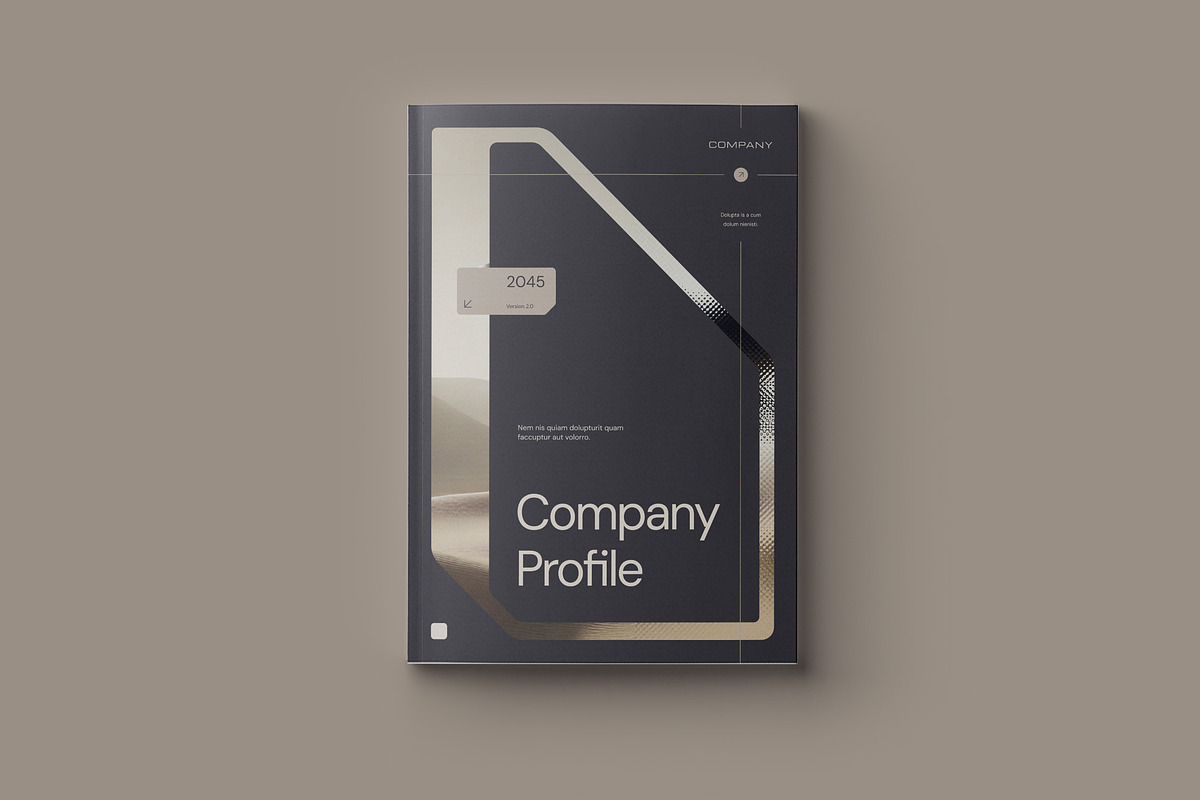 Technology Company Profile - Dezzech