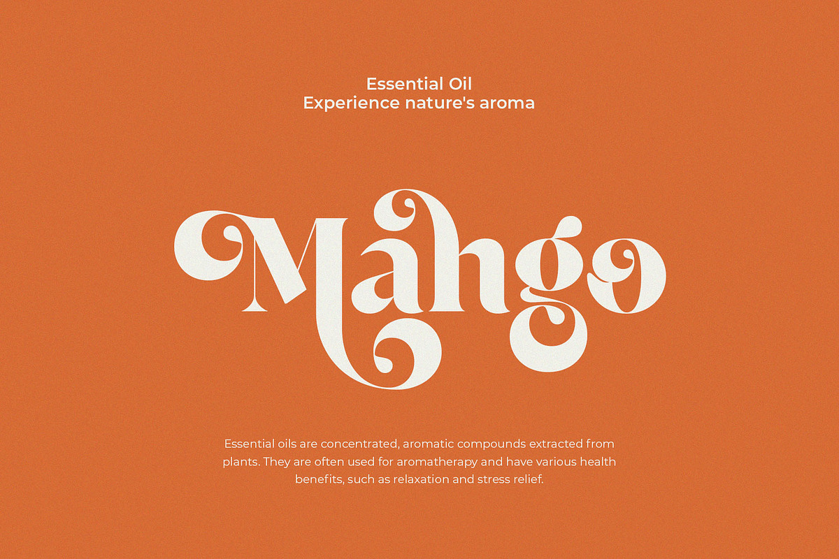 Blush Asliring - Display Retro Serif, a Serif Font by BrandSemut (Photo 11 of 20)