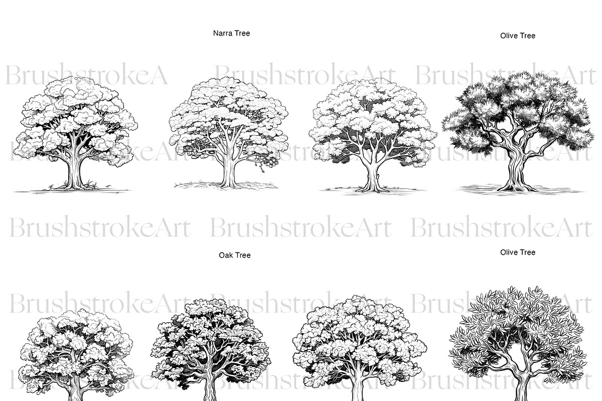 Tree Silhouette Clipart, Bonsai Tree, an Illustration by BrushstrokeArtGB (Photo 2 of 10)