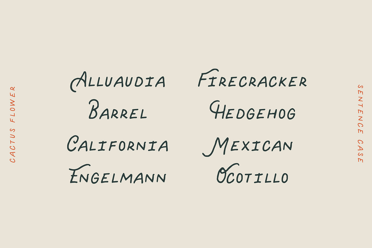 Cactus Flower - Handwritten Font, a Font by Creative Type (Photo 2 of 7)