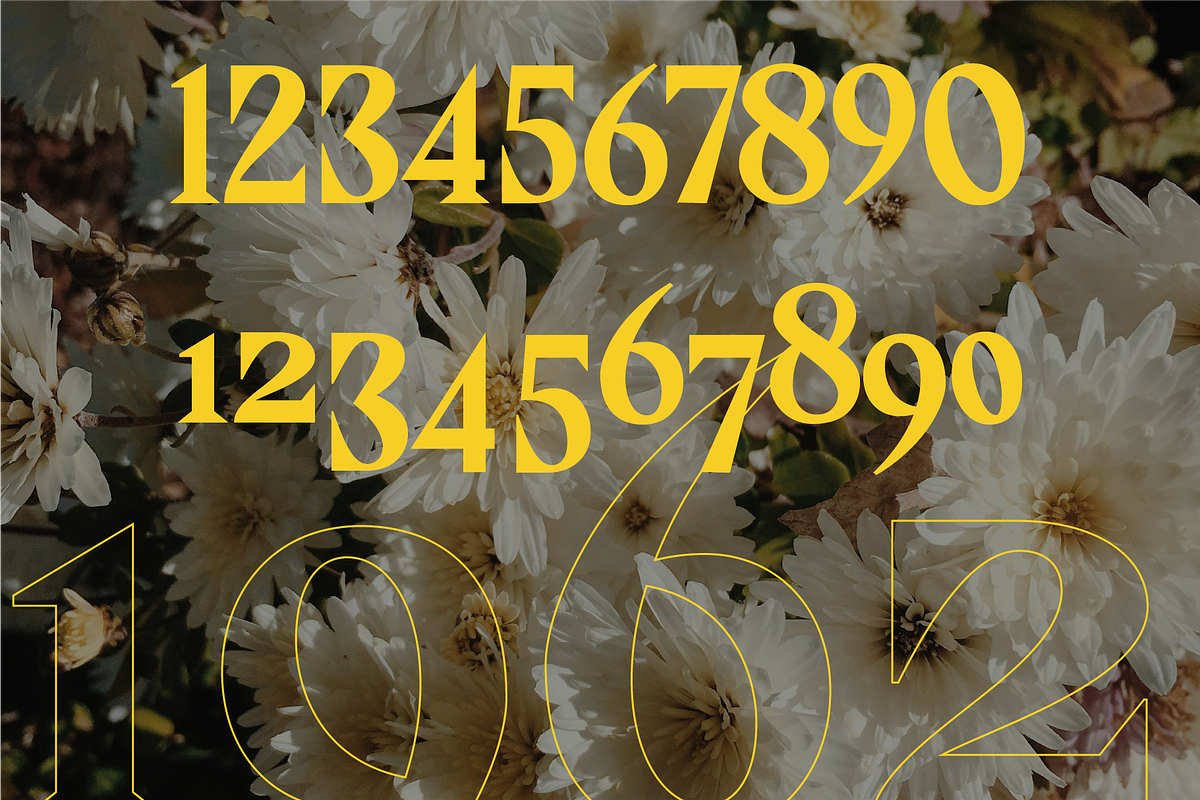 Evgen | Beauty and Strong Serif Font, a Font by PeanutButter Type (Photo 10 of 13)
