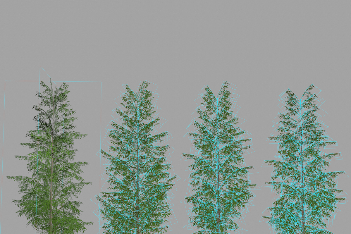 Eucalyptus tree #1, an Environmental 3D Model by AndrewWhite (Photo 9 of 13)