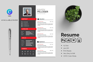 Professional Resume CV Template